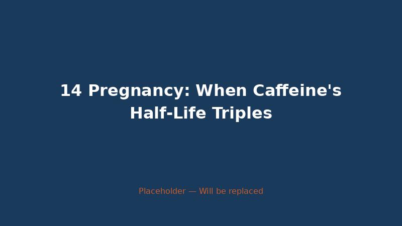 14 Pregnancy: When Caffeine's Half-Life Triples — CaffeineCheck